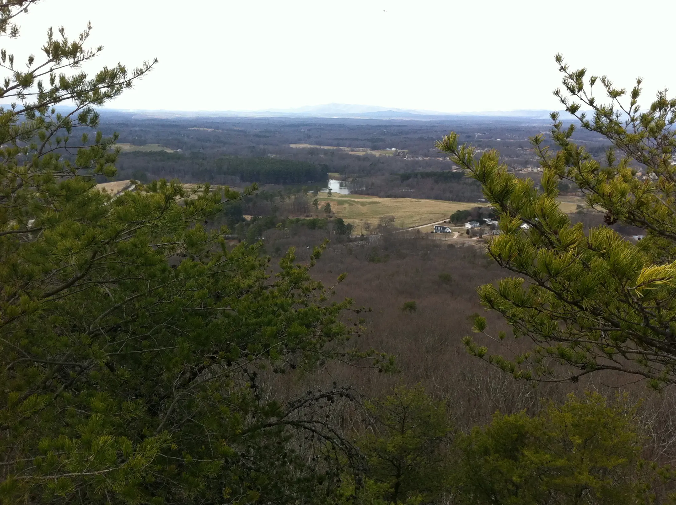 2011 Indian Seats photo 1