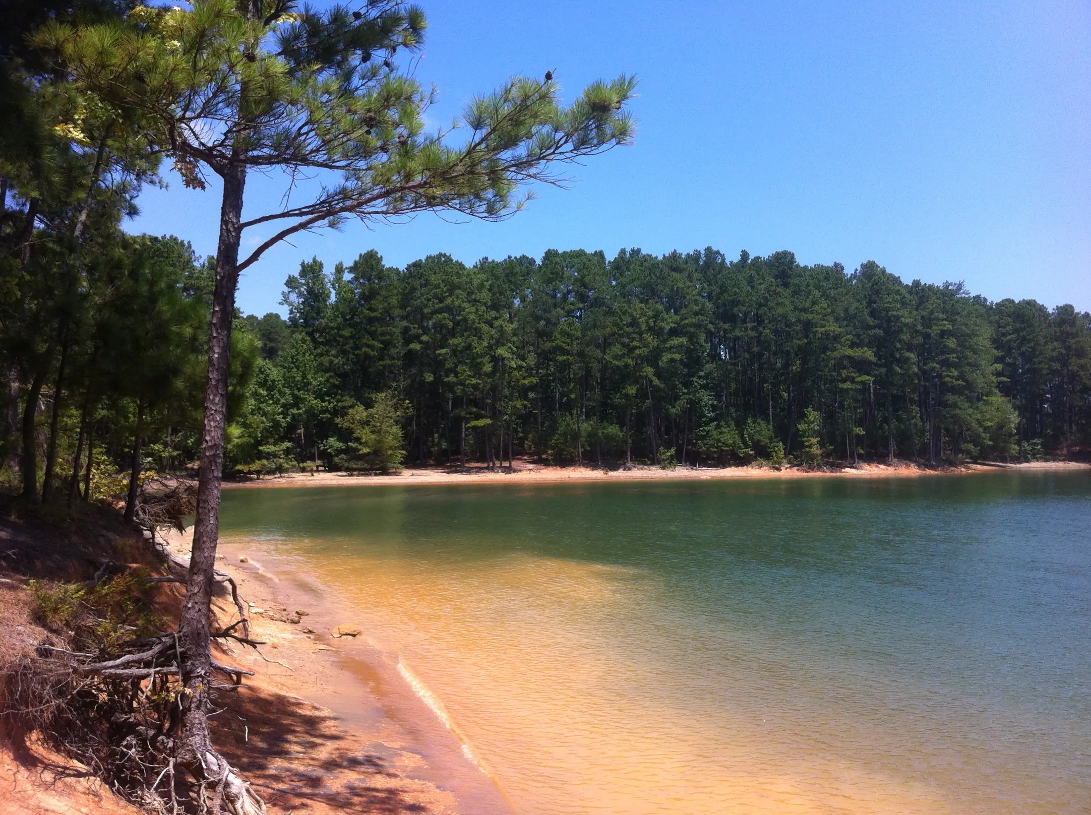2012 Red Top Mountain photo 1
