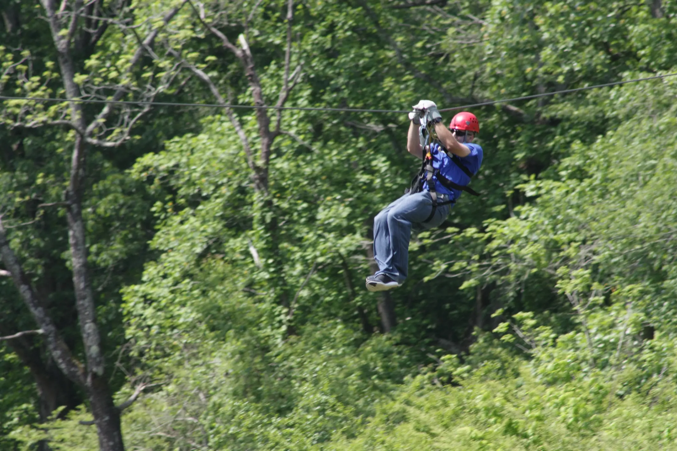 2015 Zip lining photo 1