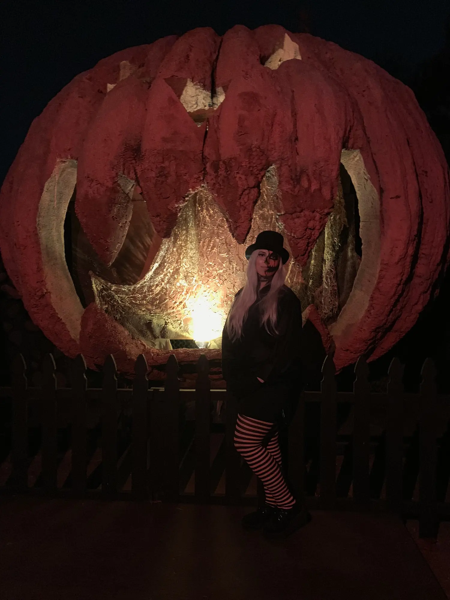 2018 Netherworld photo 5
