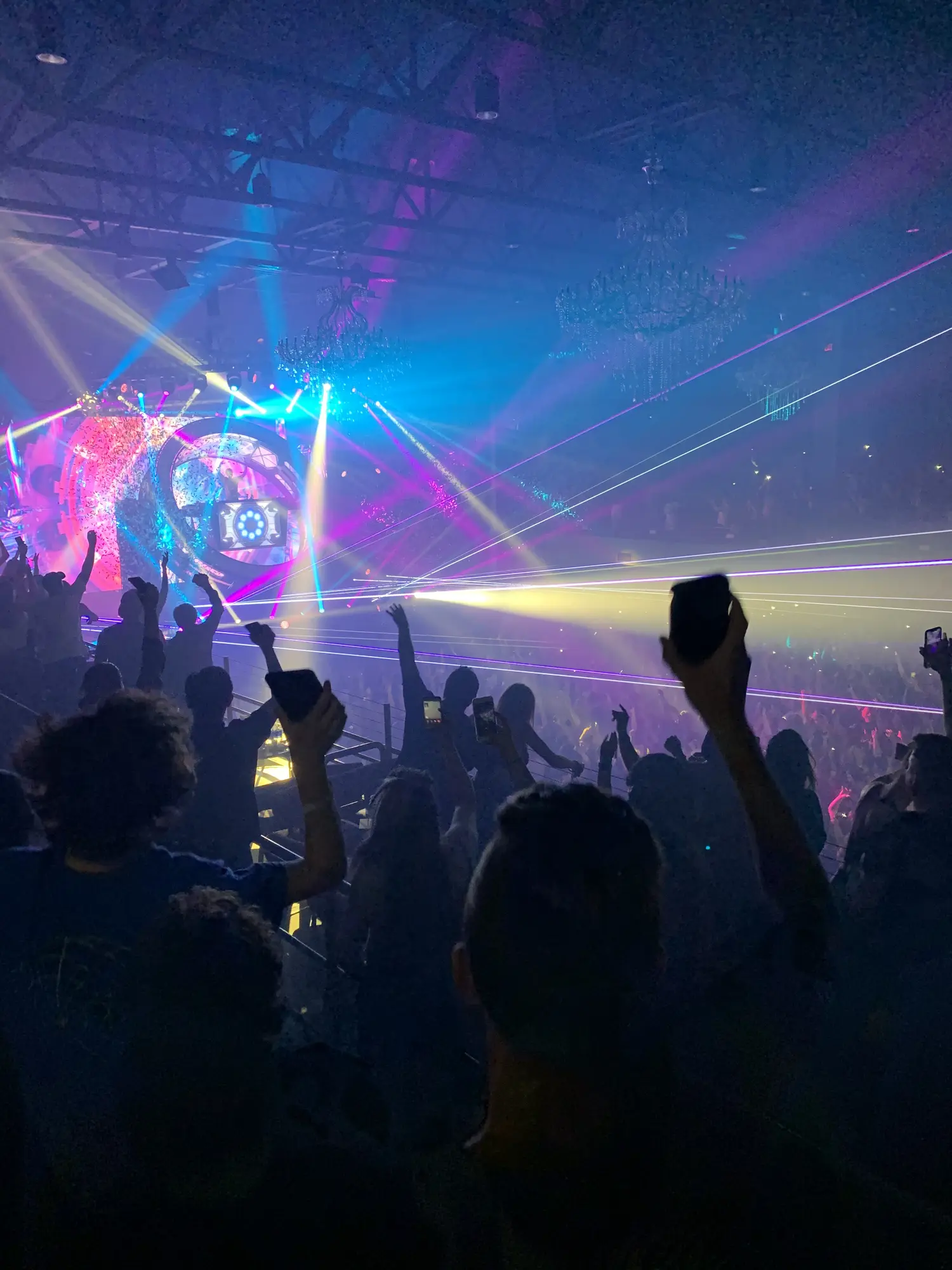 2019 Zedd photo 8