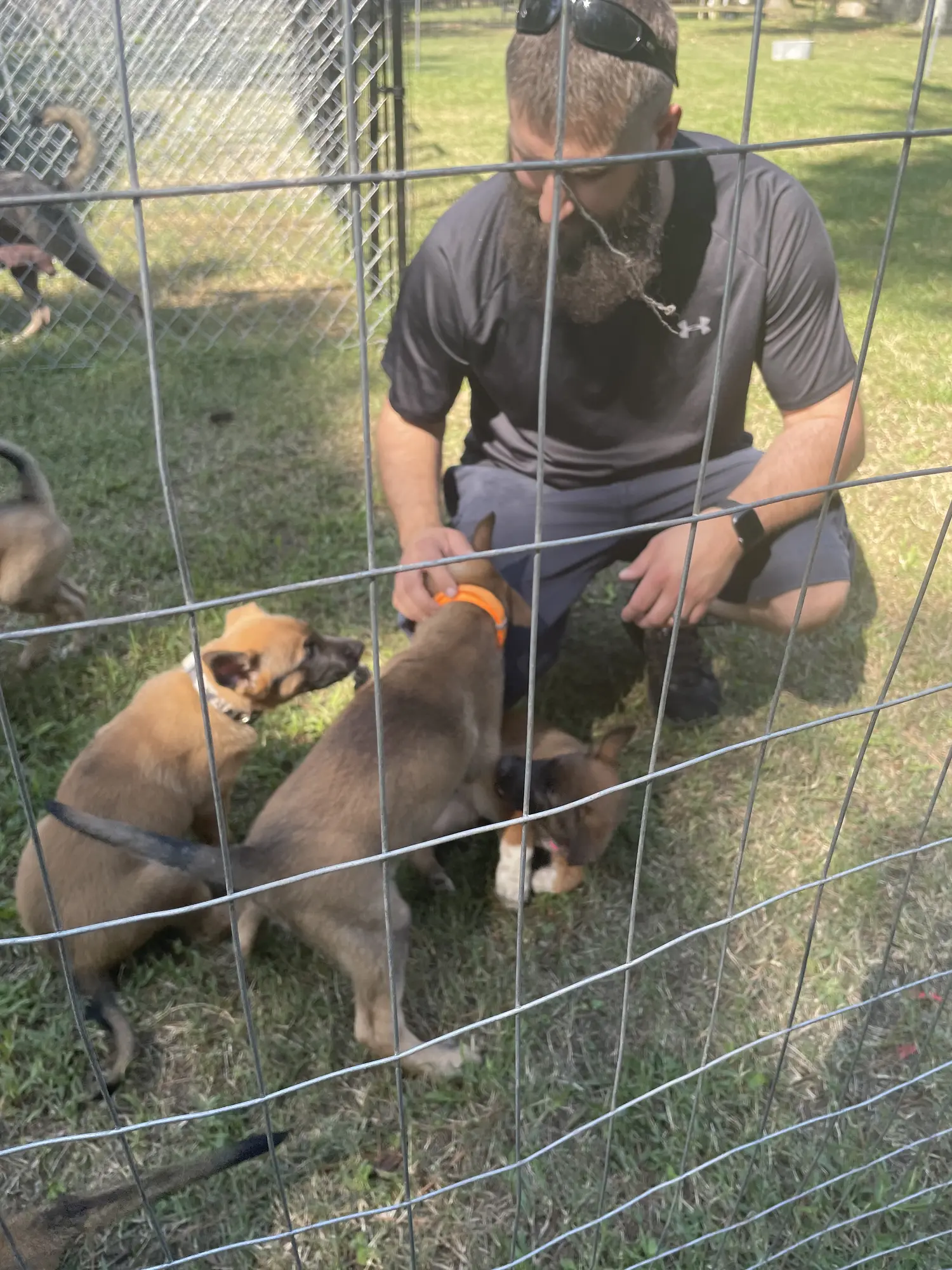 2022 pup trip photo 1