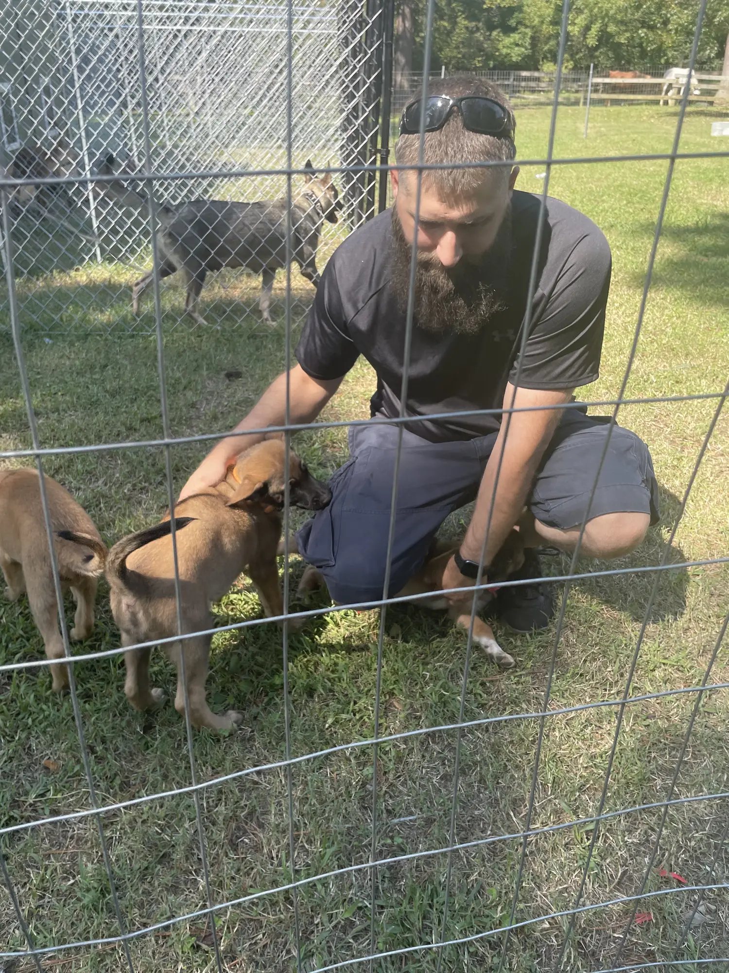 2022 pup trip photo 3