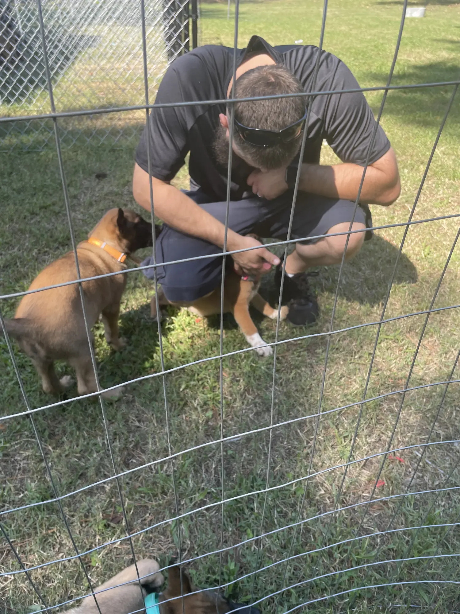 2022 pup trip photo 4