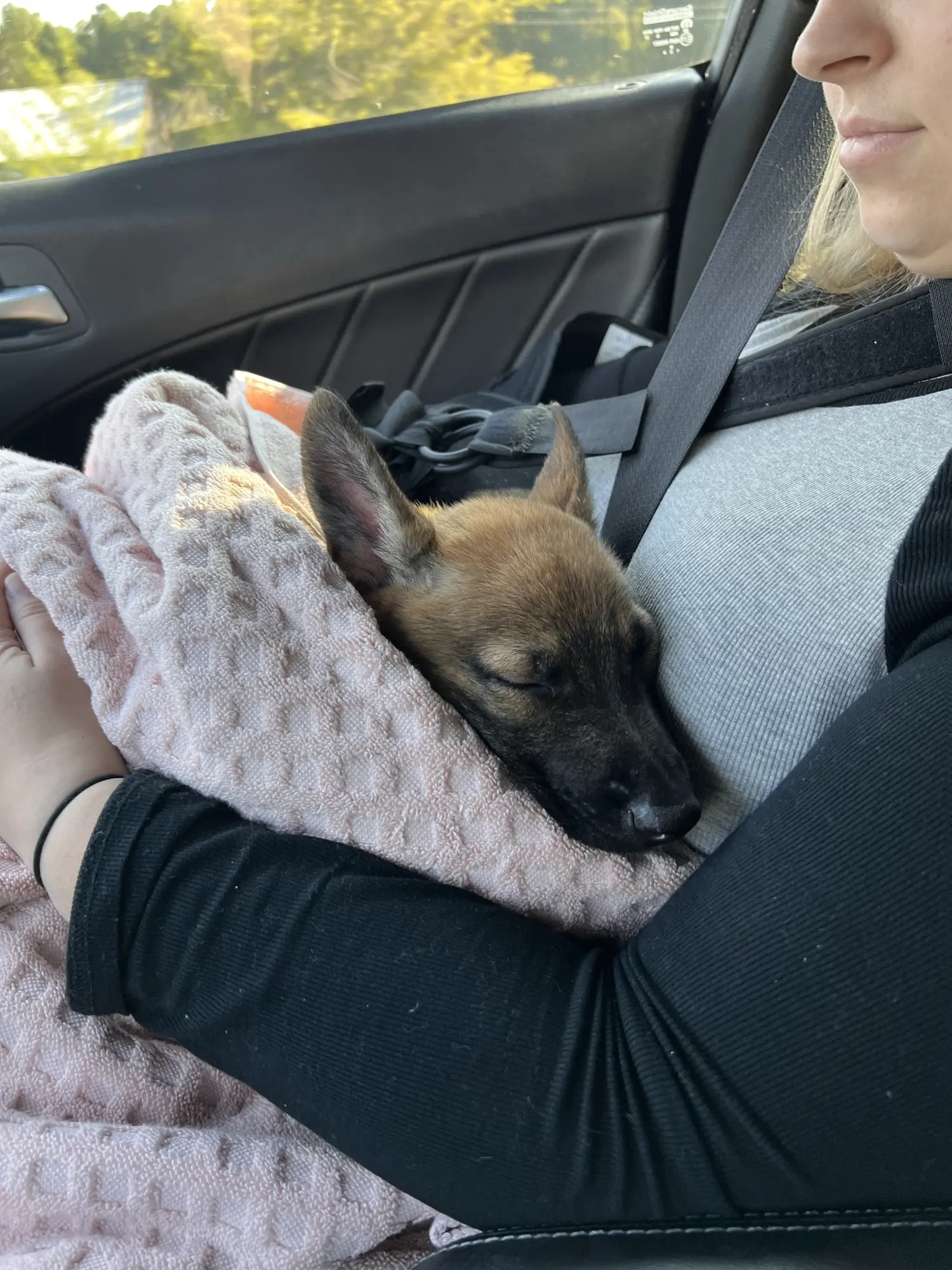 2022 pup trip photo 7