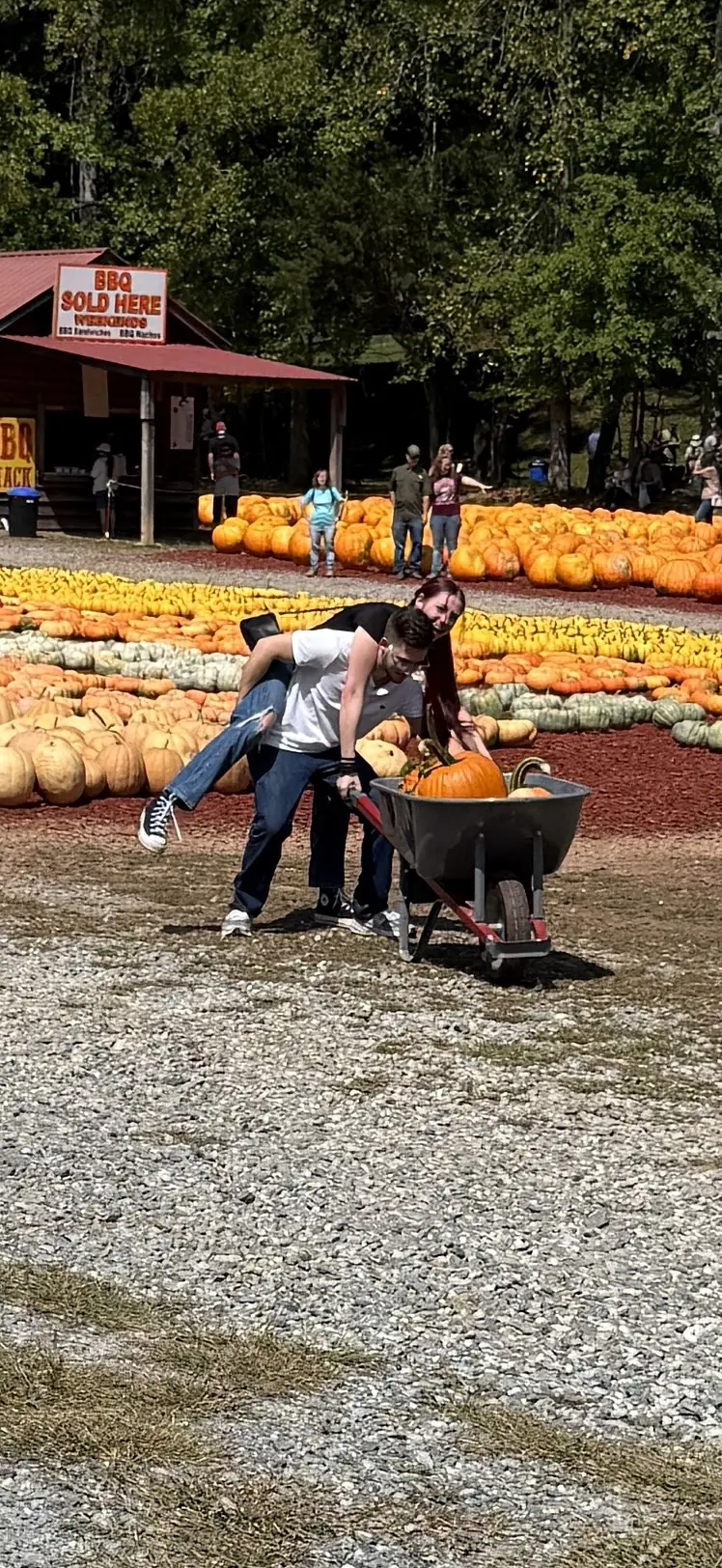 2025 Pumpkin time gallery photo 3