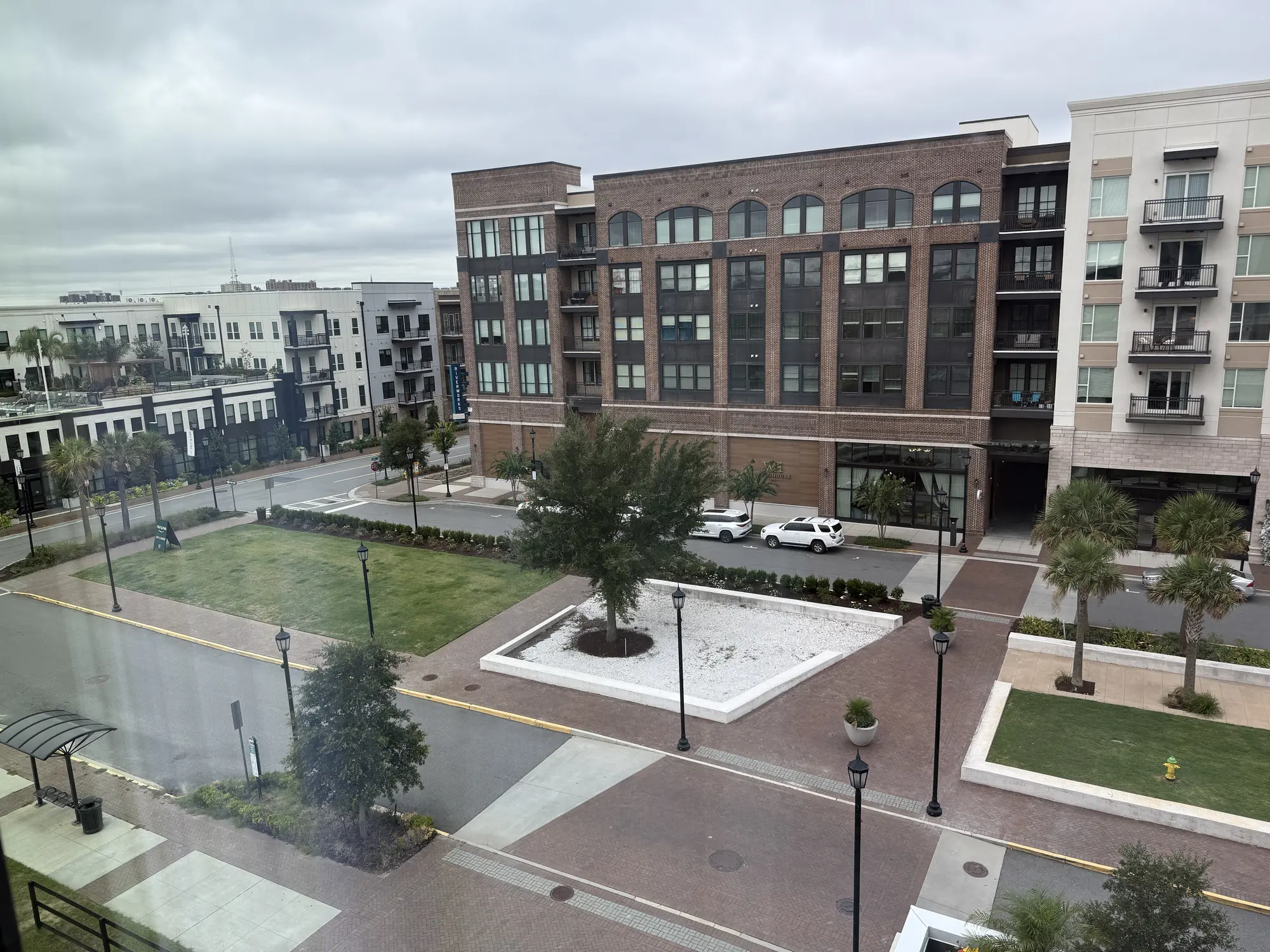 2025 Savannah photo 2
