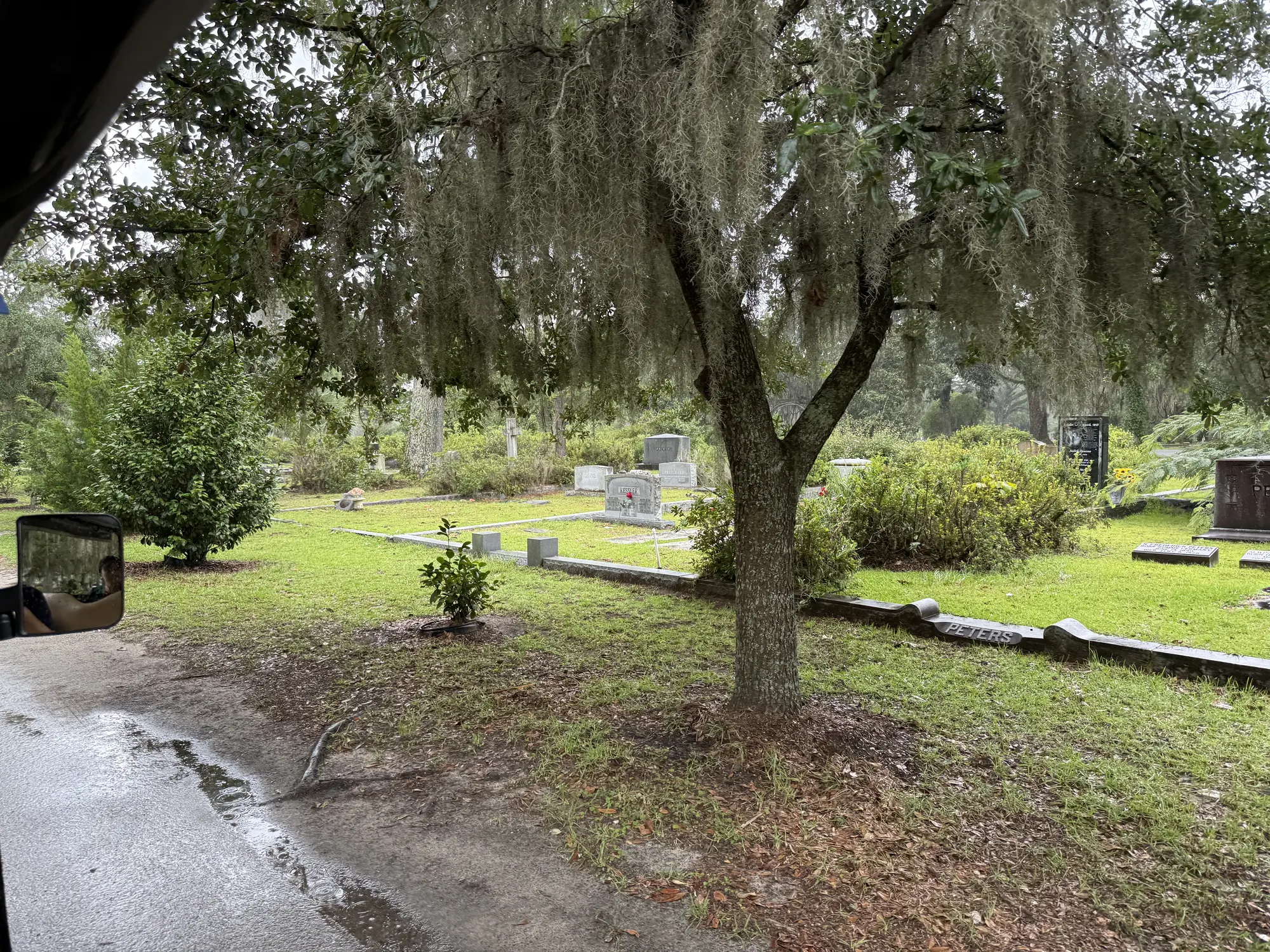 2025 Savannah photo 9